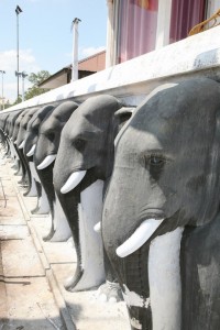 Anuradhapura Sri Lanka (122)