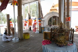 Anuradhapura Sri Lanka (155)