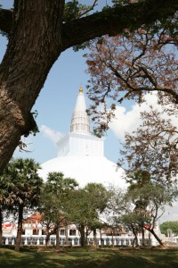 Anuradhapura Sri Lanka (56)