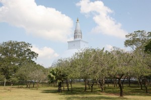 Anuradhapura Sri Lanka (57)