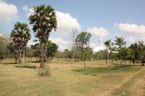 Anuradhapura Sri Lanka (58)