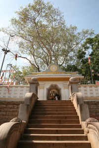 Anuradhapura Sri Lanka (60)