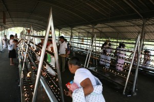 Anuradhapura Sri Lanka (98)