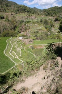 Banaue - Sagada - Filipiny (164)