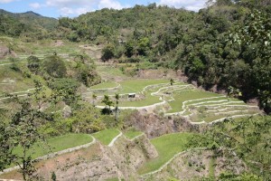 Banaue - Sagada - Filipiny (167)