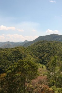 Banaue - Sagada - Filipiny (206)