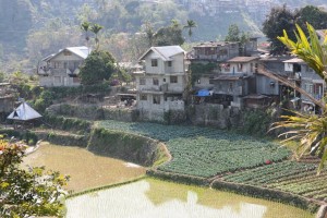 Banaue - Sagada - Filipiny (308)