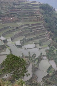 Banaue - Sagada - Filipiny (419)