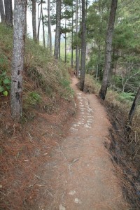 Banaue - Sagada - Filipiny (531)