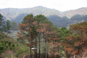 Banaue - Sagada - Filipiny (546)