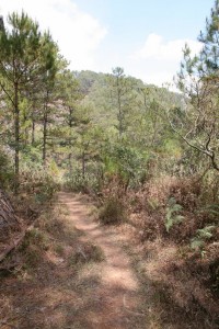 Banaue - Sagada - Filipiny (632)