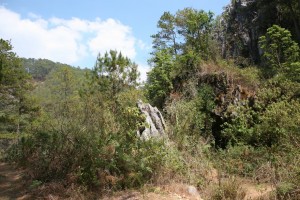 Banaue - Sagada - Filipiny (662)