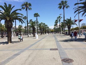 Barcelona (224)