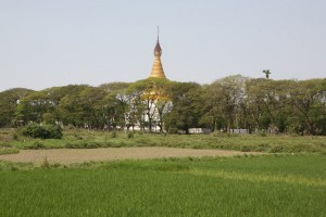 Birma - Mandlay (215)