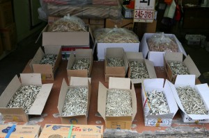 Busan - Pusan (14)