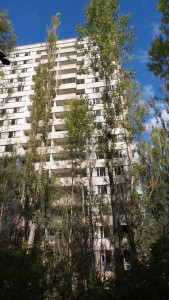 Czarnobyl (178)