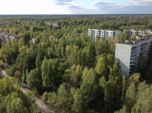 Czarnobyl (243)