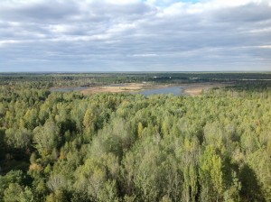 Czarnobyl (244)