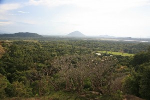 Dambulla Sri Lanka (123)