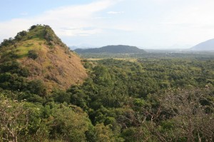Dambulla Sri Lanka (124)