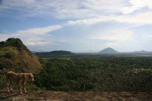 Dambulla Sri Lanka (126)