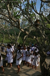 Dambulla Sri Lanka (130)