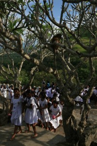 Dambulla Sri Lanka (131)