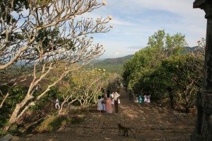 Dambulla Sri Lanka (132)