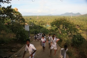 Dambulla Sri Lanka (137)