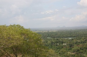 Dambulla Sri Lanka (15)