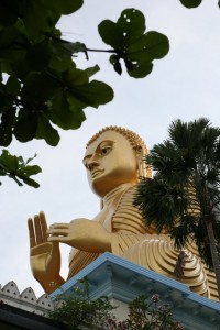 Dambulla Sri Lanka (153)