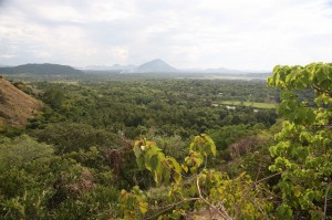 Dambulla Sri Lanka (29)