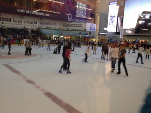 Dubai Mall (111)