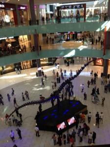 Dubai Mall (67)