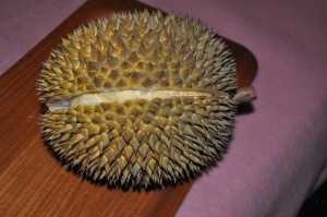 Durian (5)