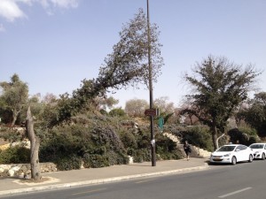 Dzielnica Ben Gurion Jerozolima (11)