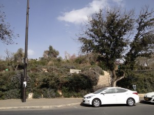 Dzielnica Ben Gurion Jerozolima (12)