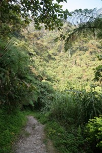 Filipiny Batad (143)