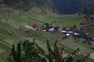 Filipiny Batad (195)