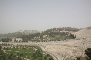 Góra Oliwna Jerozolima (10)