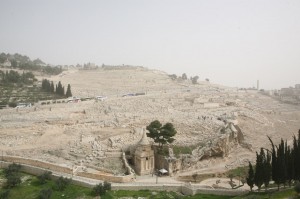 Góra Oliwna Jerozolima (11)