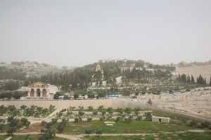 Góra Oliwna Jerozolima (12)