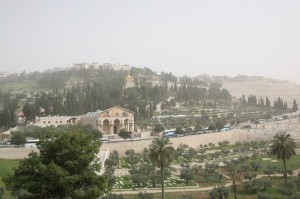 Góra Oliwna Jerozolima (14)