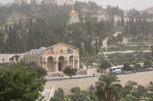 Góra Oliwna Jerozolima (15)