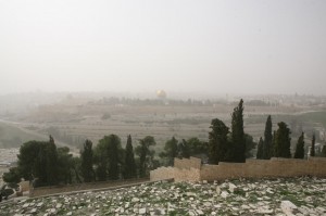 Góra Oliwna Jerozolima (32)