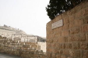 Góra Oliwna Jerozolima (35)