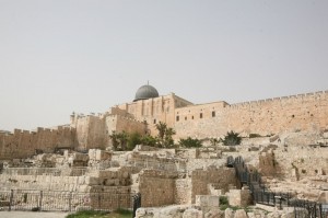 Góra Oliwna Jerozolima (7)