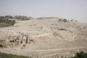 Góra Oliwna Jerozolima (9)