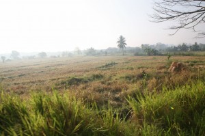 Hikkaduwa - Sri Lanka (2)