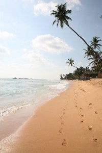 Hikkaduwa - Sri Lanka (23)